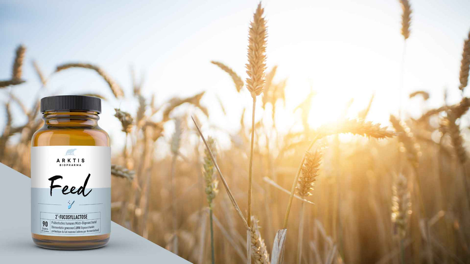 Kornfeld im Hintergrund, linke untere Ecke Abbild des Produkts "Feed"