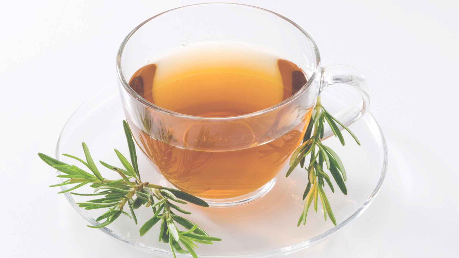 Teetasse mit frischem Rosmarin