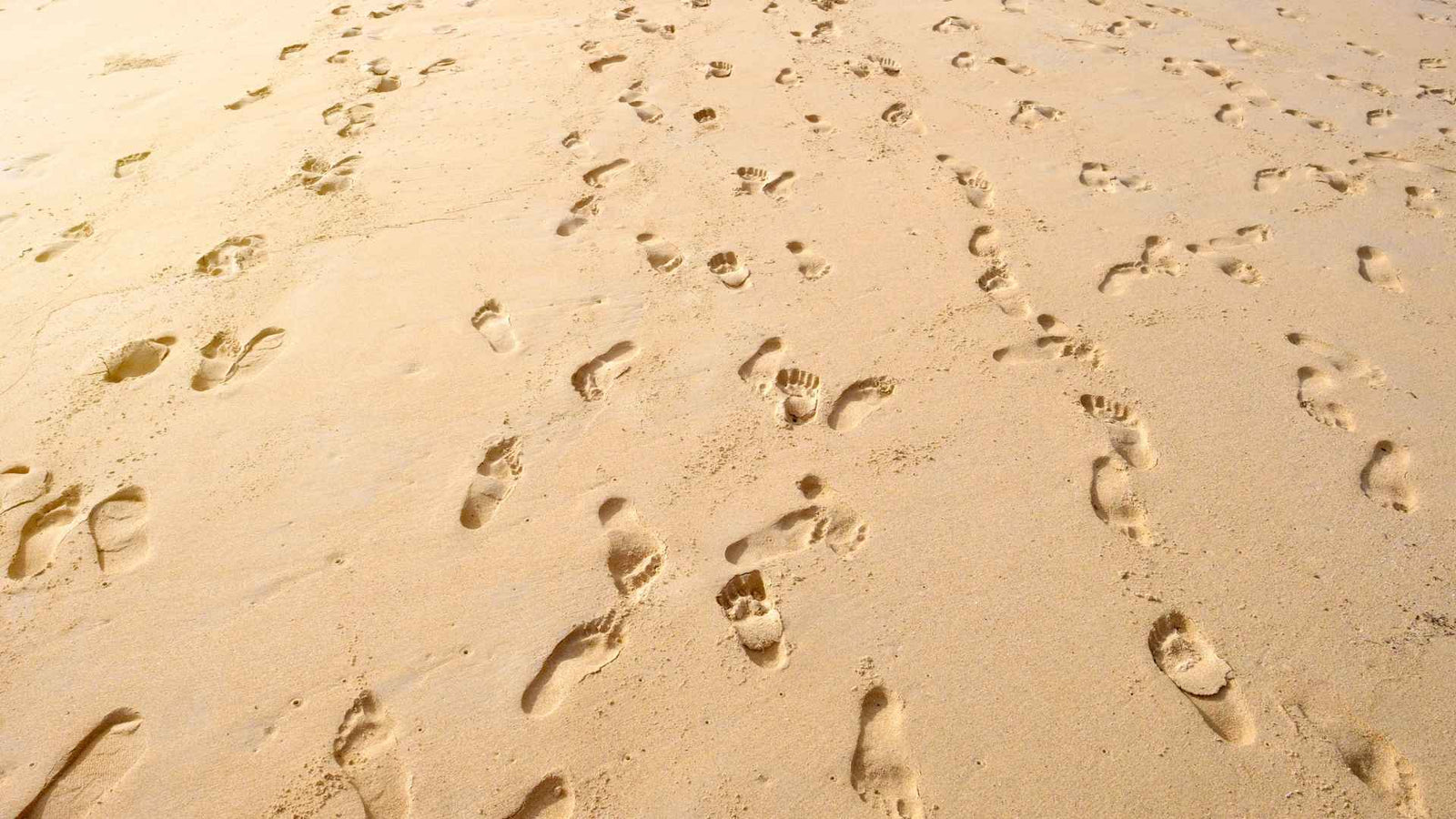 Spuren im Sand die durcheinander laufen