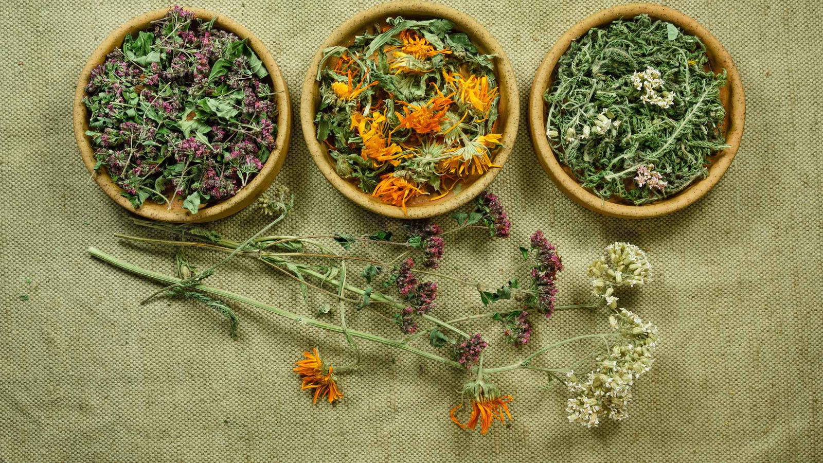 Schälchen mit Kräutern