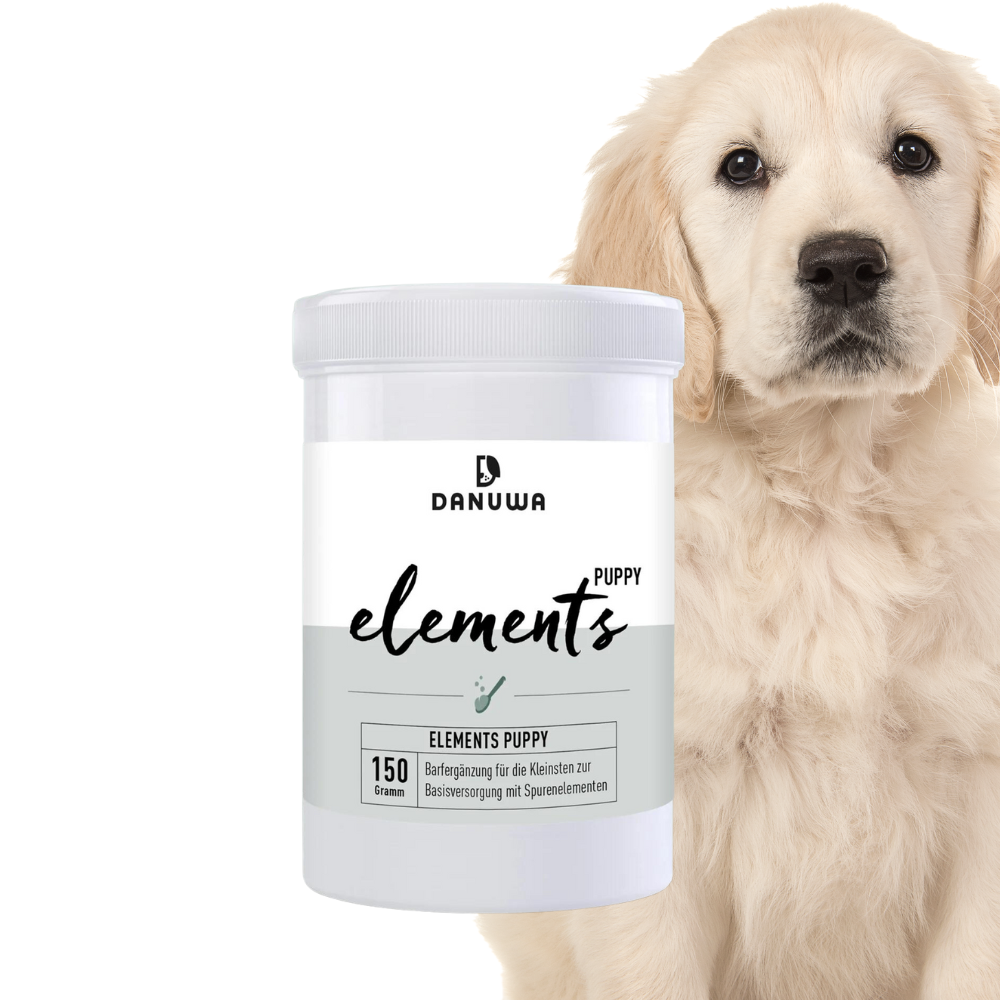 DANUWA Elements Puppy