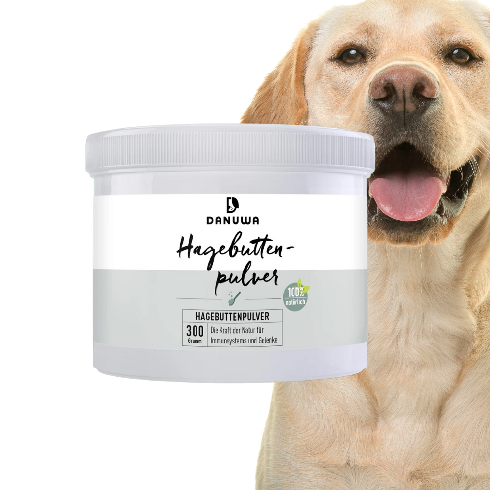 DANUWA Rosehip powder