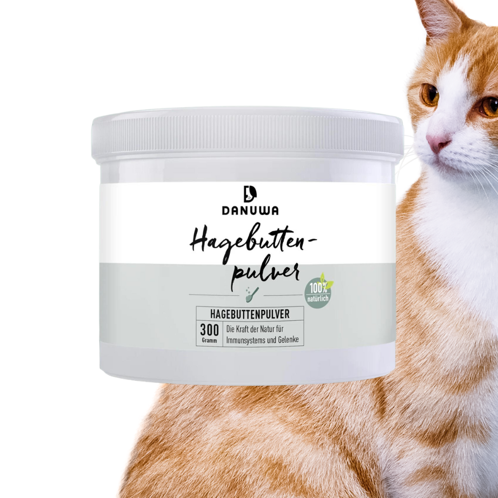 DANUWA Rosehip powder