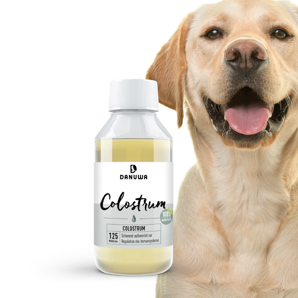 DANUWA Colostro liquido