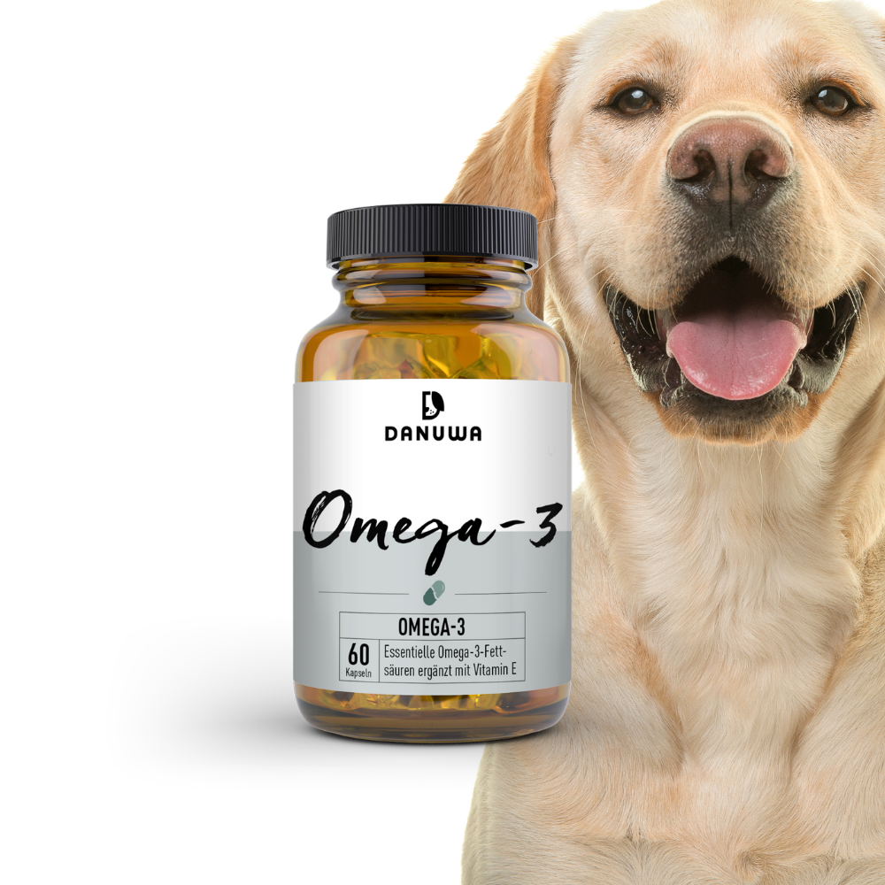DANUWA Omega 3 FISCHÖLKAPSELN