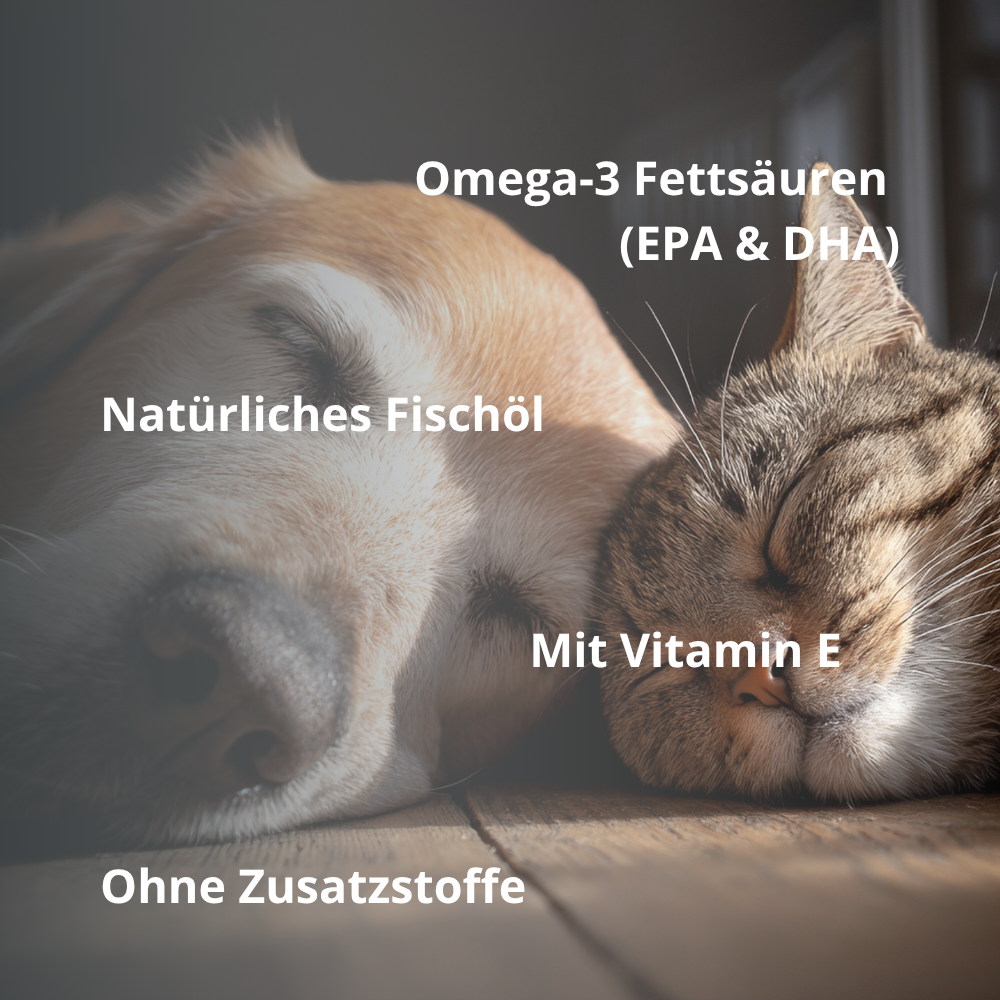 DANUWA Omega 3 FISCHÖLKAPSELN