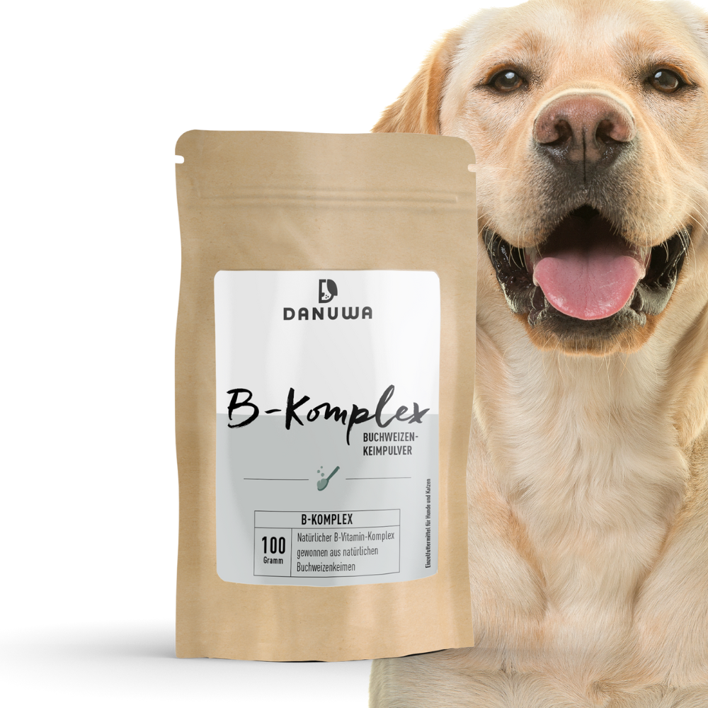 DANUWA vitamin B complex buckwheat germ powder