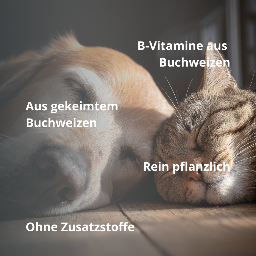 DANUWA vitamin B complex buckwheat germ powder