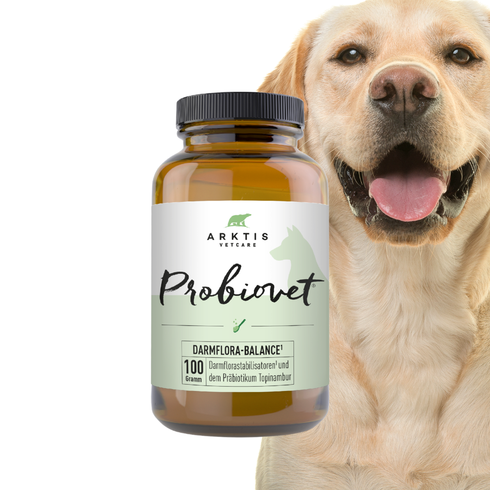 Arktis Vetcare Probiovet® - Darmflora-Balance